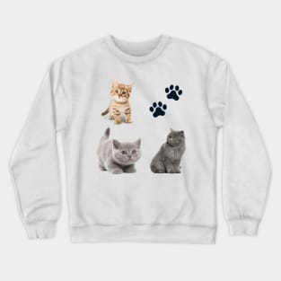 Awesome kitten cat love - cat lover pack Crewneck Sweatshirt